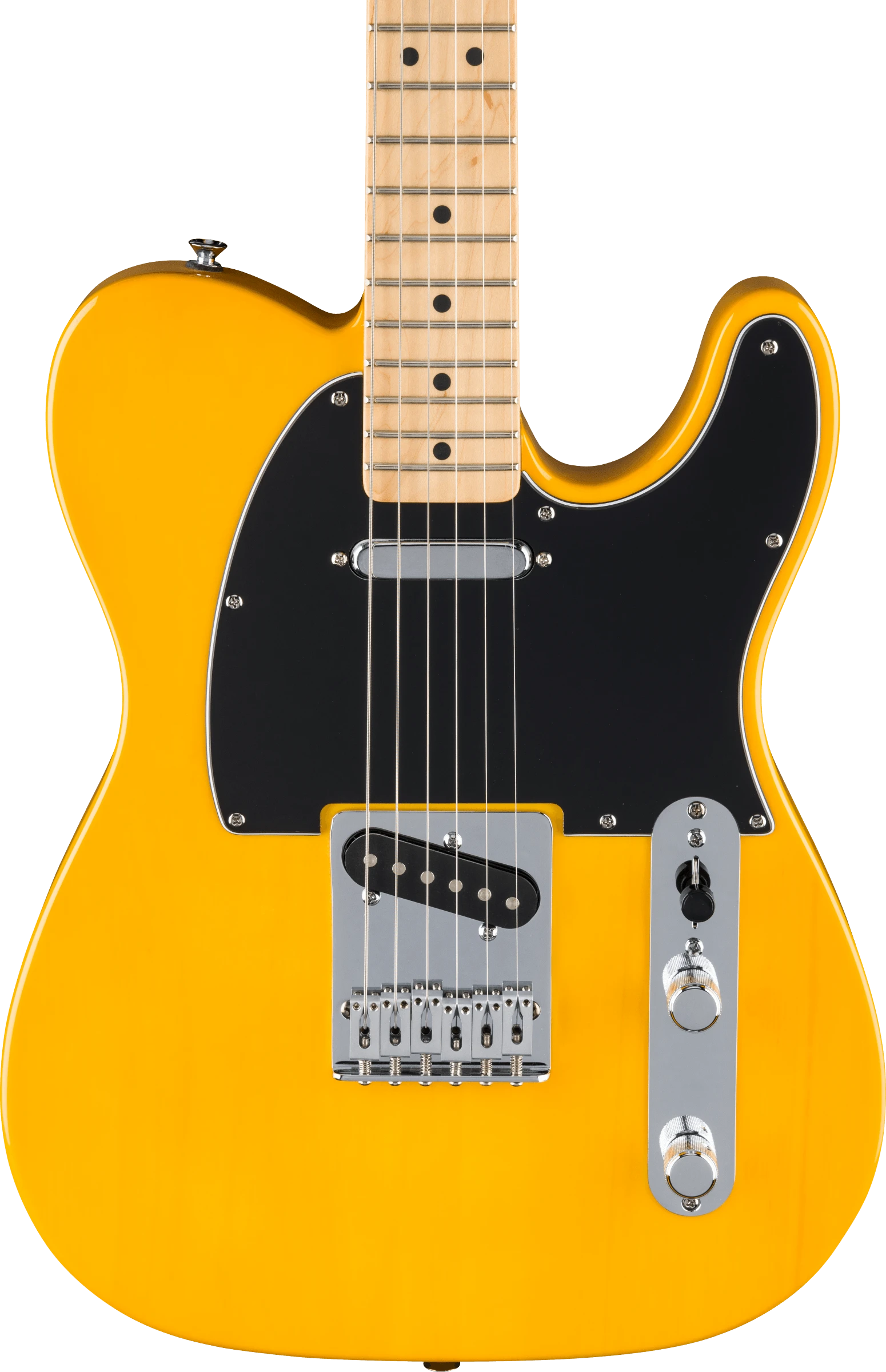 Fender® Standard Telecaster®, Maple Fingerboard, Black Pickguard, Butterscotch Blonde