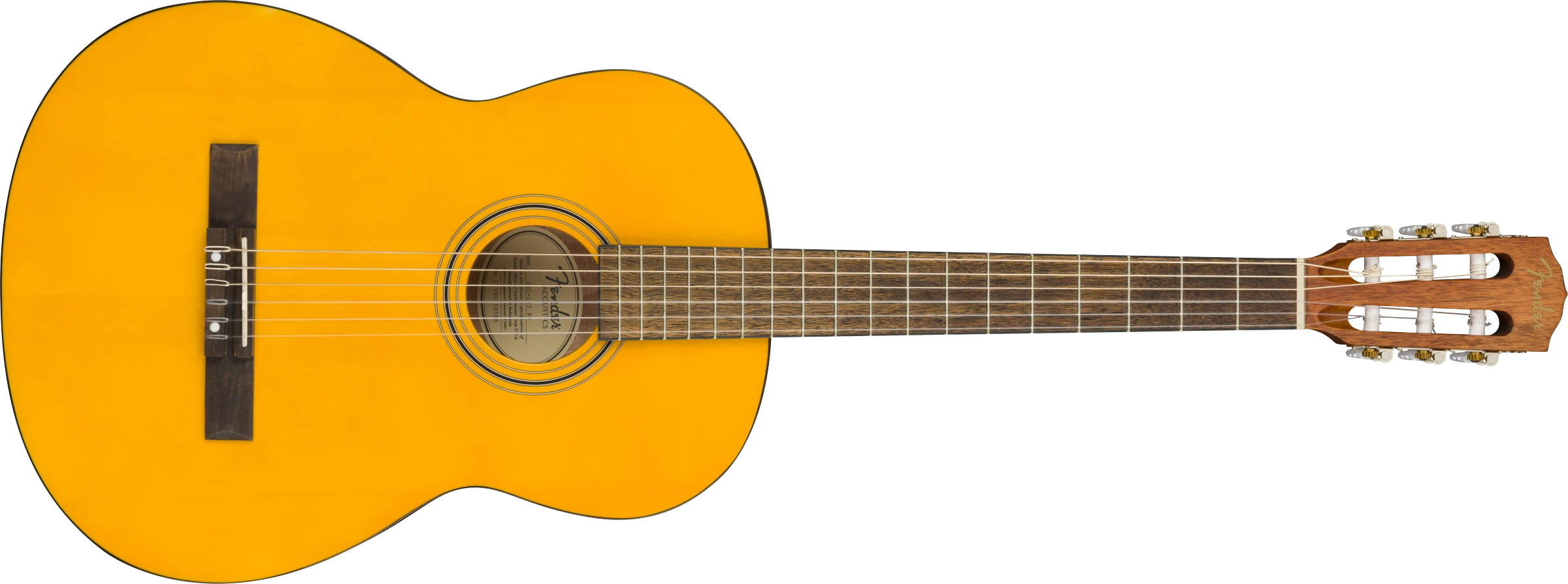 Fender® ESC105 Educational Series, WN