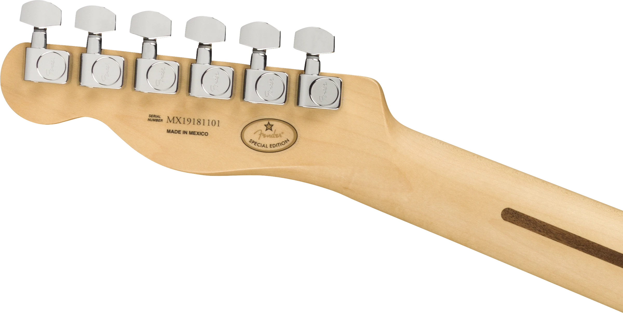 Fender® Limited Edition Player Telecaster® Plus Top, Maple Fingerboard, Blue Burst