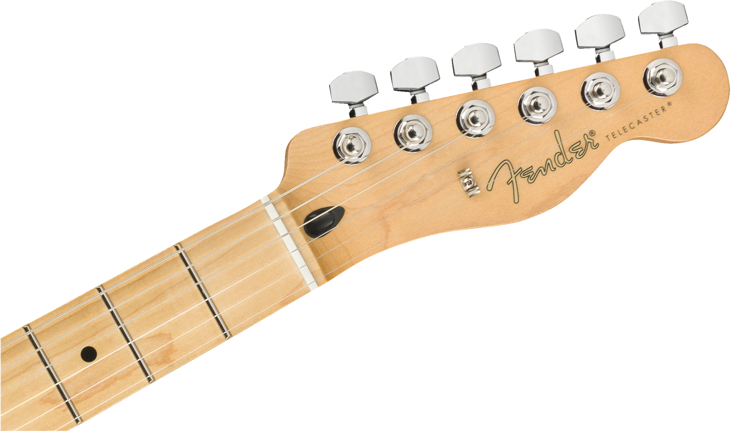 Fender® Player Telecaster®, Maple Fingerboard, Tidepool