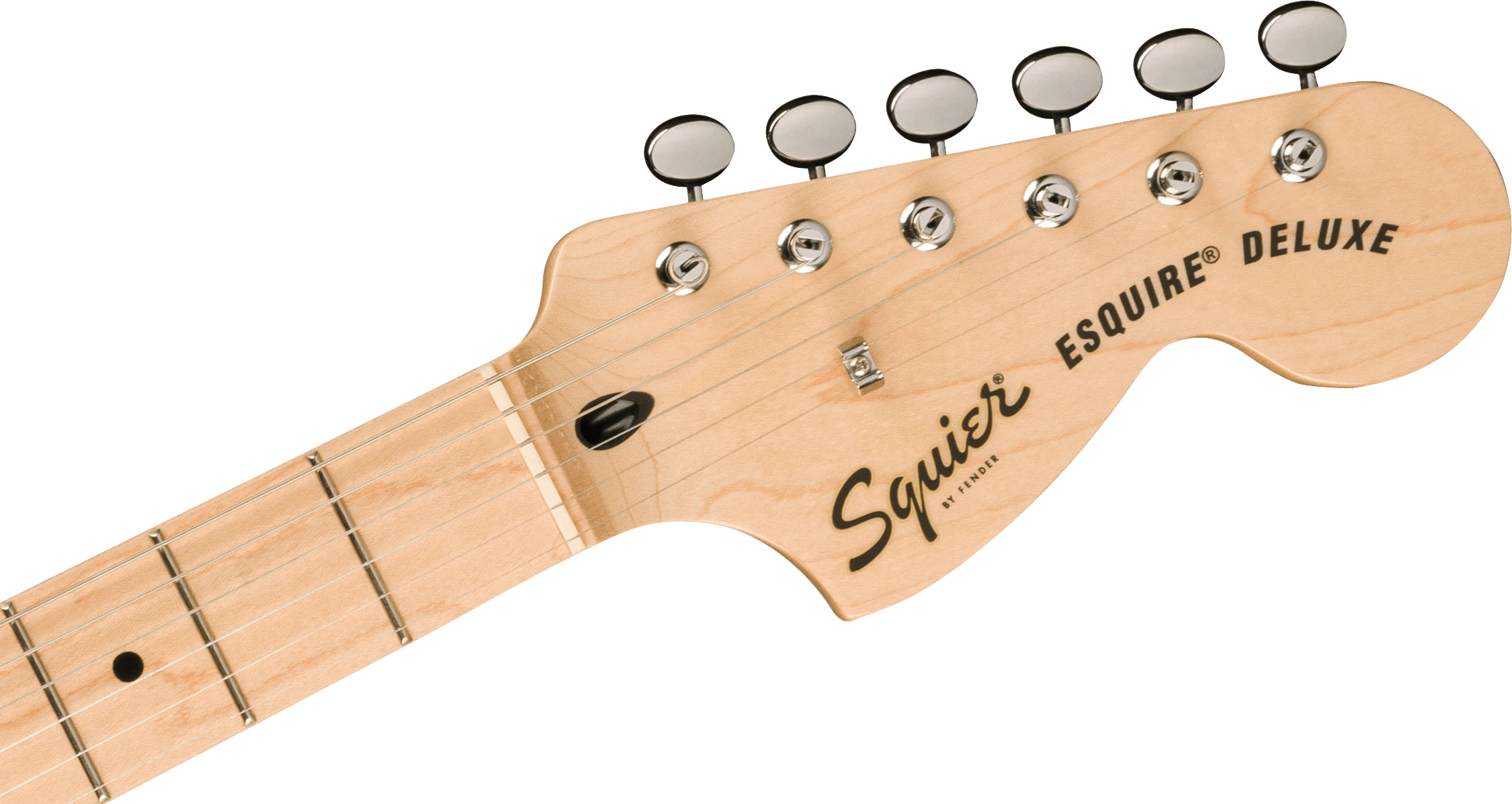 Squier® Paranormal Esquire® Deluxe, Maple Fingerboard, Black Pickguard, Metallic Black