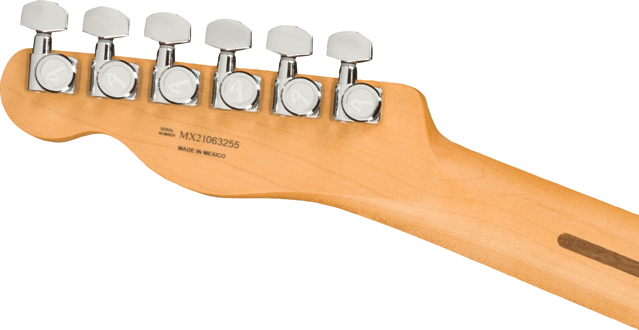 Fender® Player Plus Nashville Telecaster®, Pau Ferro Fingerboard, Opal Spark