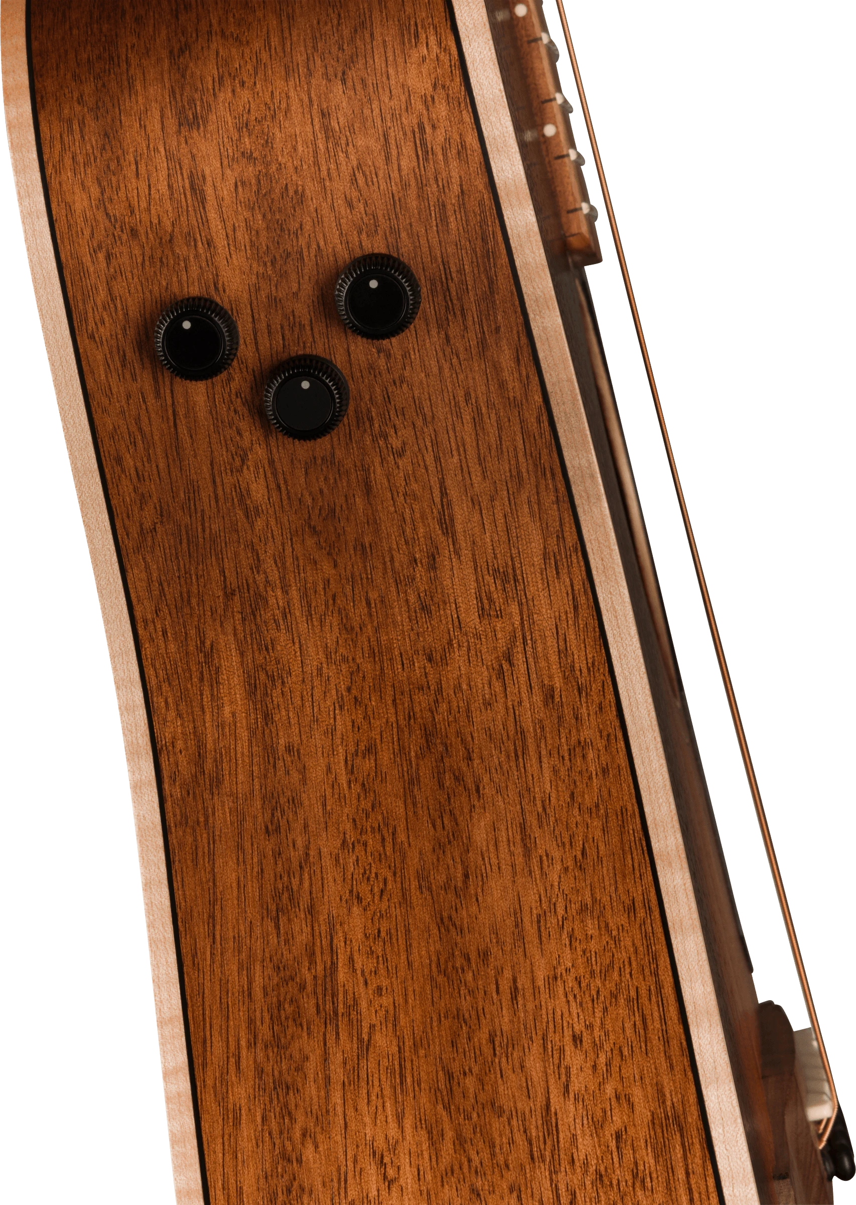 Fender® Malibu Special, Pau Ferro Fingerboard, Black Pickguard, Honey Burst