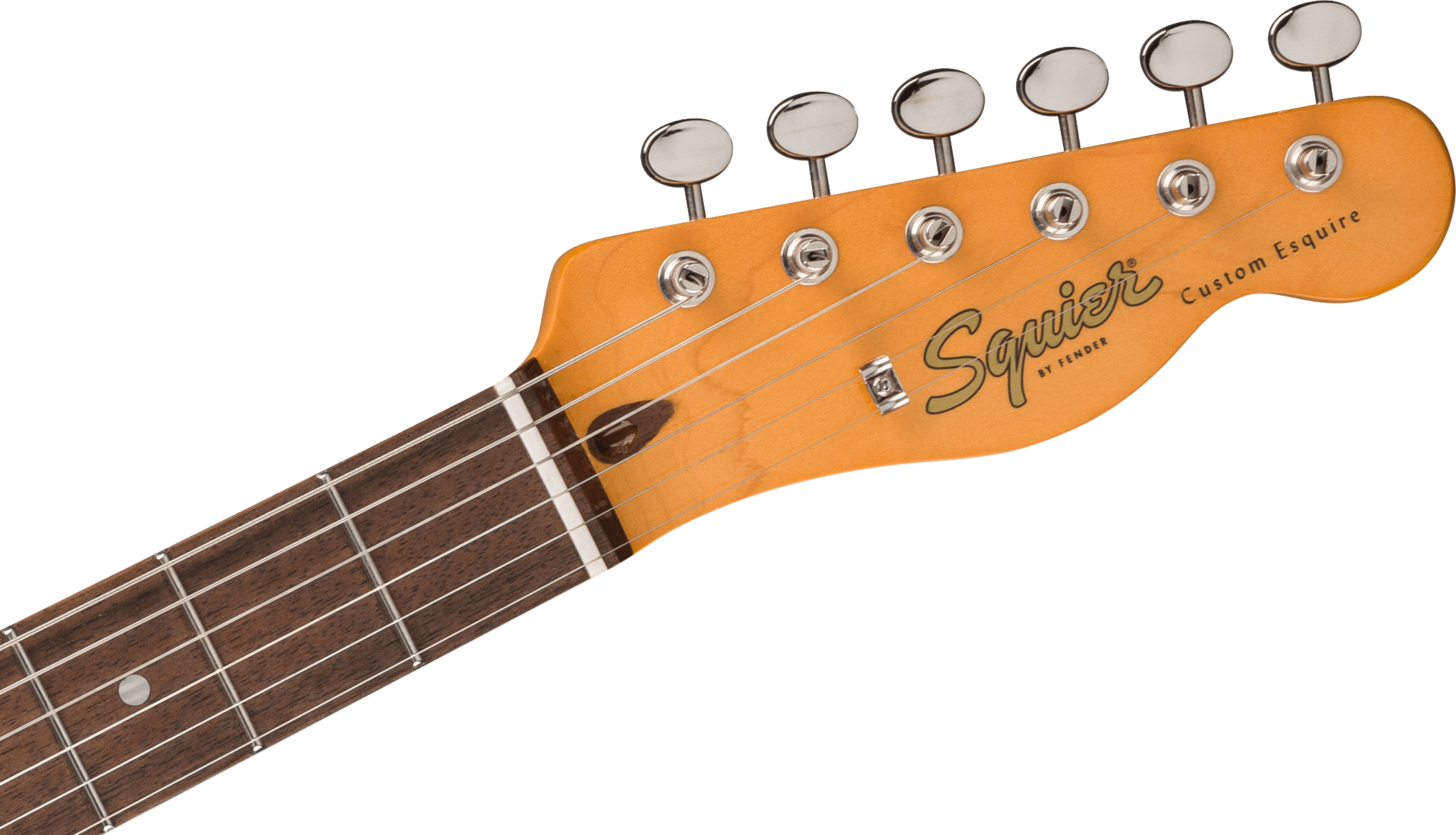 Squier® Classic Vibe™ Custom Esquire®, Laurel Fingerboard, Parchment Pickguard, Sherwood Green