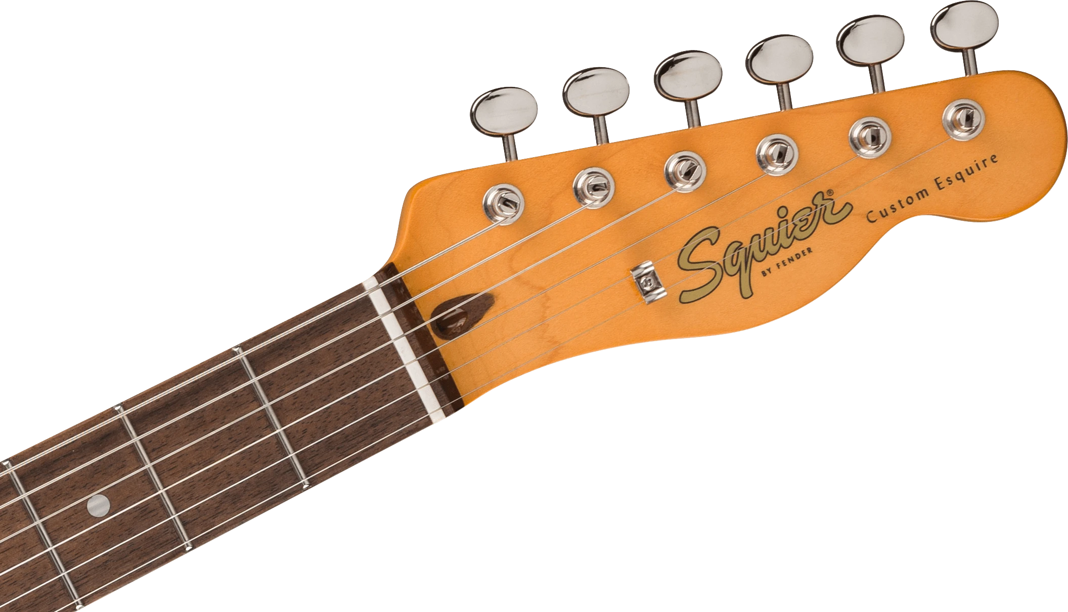 Squier® Classic Vibe™ Custom Esquire®, Laurel Fingerboard, Parchment Pickguard, Sherwood Green