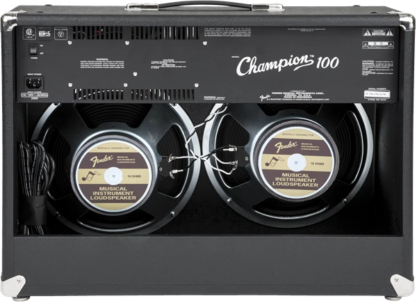 Fender® Champion™ 100