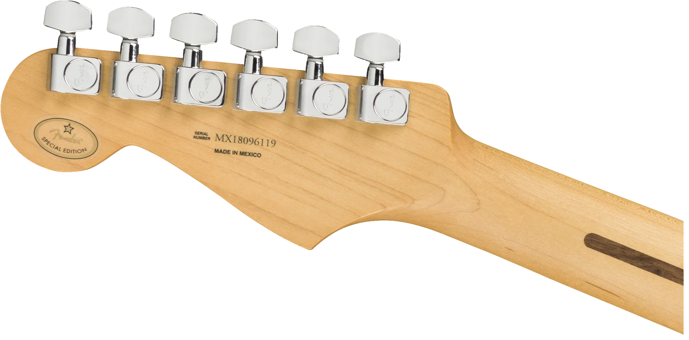 Fender® Limited Edition Player Stratocaster®, Maple Fingerboard, Inca Silver