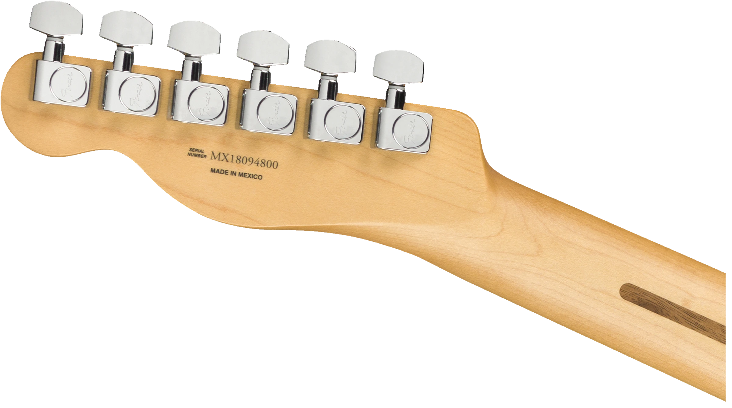 Fender® Player Telecaster®, Maple Fingerboard, Tidepool