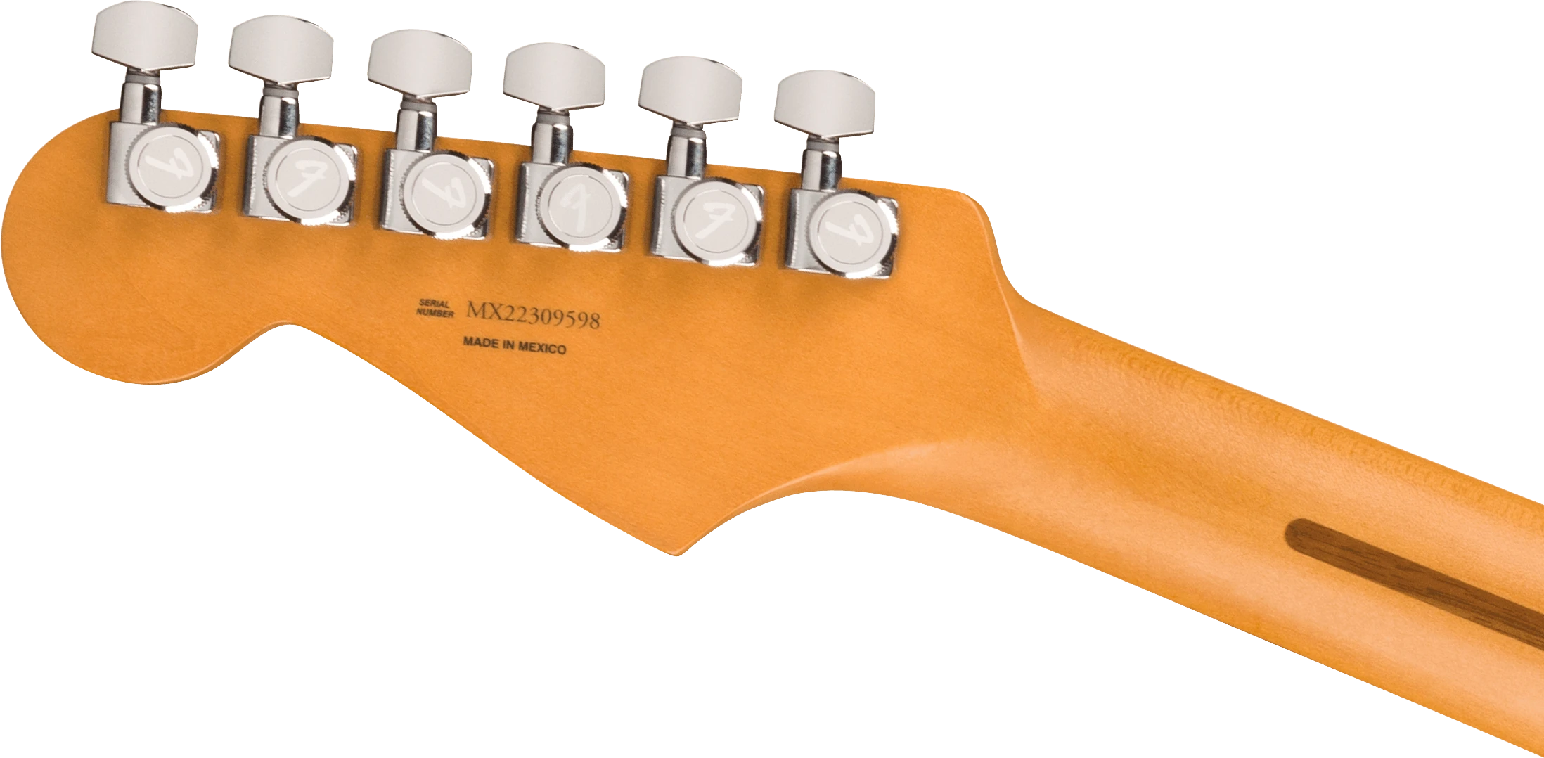 Fender® Player Plus Stratocaster®, Pau Ferro Fingerboard, Sienna Sunburst