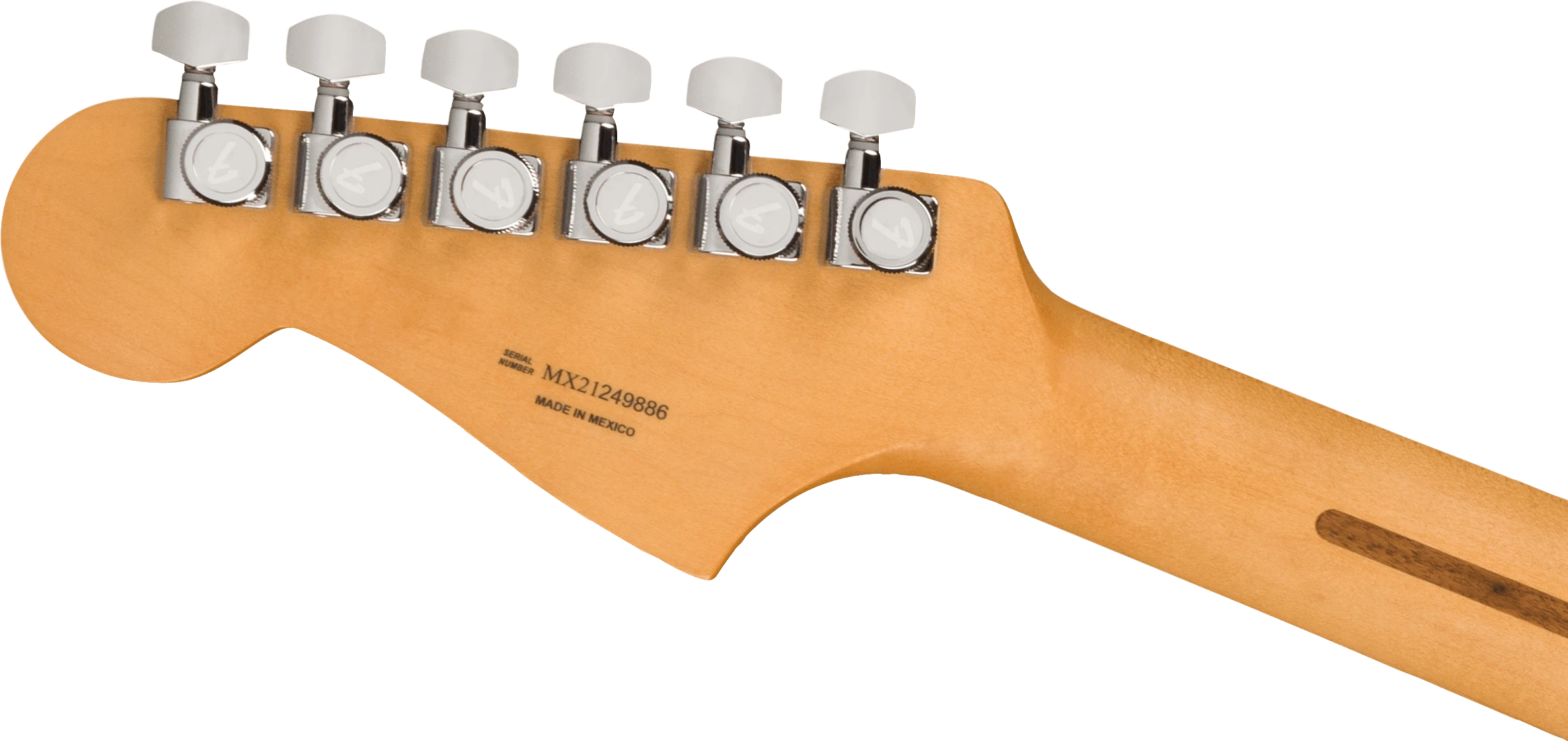 Fender® Player Plus Meteora® HH, Pau Ferro Fingerboard, Cosmic Jade